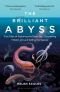 The Brilliant Abyss