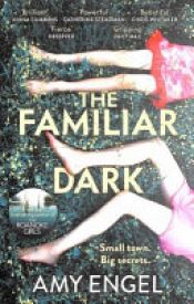 book cover of The Familiar Dark by Amy Engel