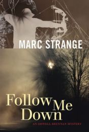 book cover of Follow Me Down by Marc Strange