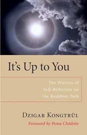 book cover of It's Up to You: The Practice of Self-Reflection on the Buddhist Path by Dzigar Kongtrul