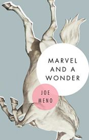 book cover of Marvel and a Wonder by Joe Meno