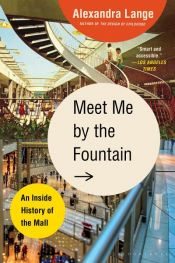 book cover of Meet Me by the Fountain by Alexandra Lange