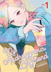 book cover of My Androgynous Boyfriend Vol. 1 by Tamekou