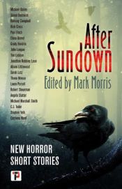 book cover of After Sundown by Mark Morris