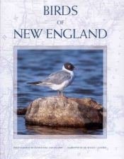 book cover of Birds of New England by Jim Roetzel and Jim Zipp