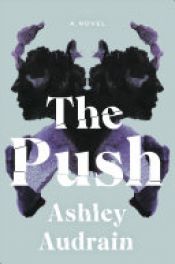 book cover of The Push by Ashley Audrain