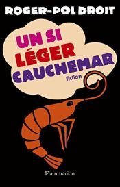 book cover of Un si léger cauchemar by Roger-Pol Droit