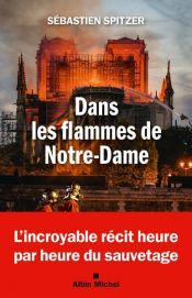 book cover of Dans les flammes de Notre-Dame by Sébastien Spitzer