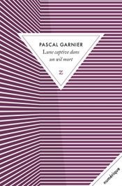 book cover of Lune captive dans un œil mort by Pascal Garnier