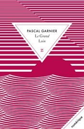 book cover of Le Grand Loin by Pascal Garnier