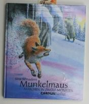 book cover of Munkelmaus: Märchen in zwölf Monaten by Sina Semadeni-Bezzola