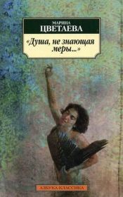 book cover of Dusha, ne znayushchaya mery? by Marina Ivanovna Cvetajevová