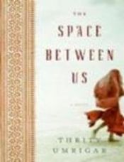 book cover of The Space Between Us by Thrity Umrigar