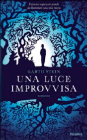 book cover of Una luce improvvisa by Garth Stein