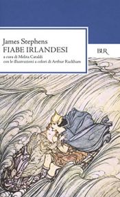 book cover of Fiabe irlandesi by James Stephens